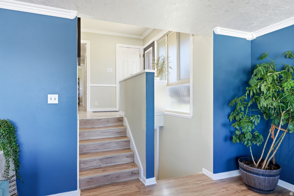 935 E 900 N Bountiful, UT 84010