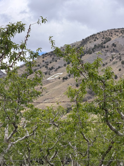 24 S 1400 E Pleasant Grove, UT 84062