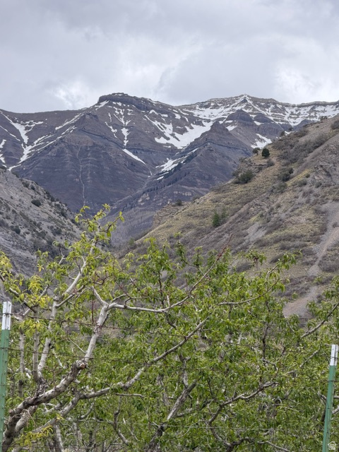 24 S 1400 E Pleasant Grove, UT 84062