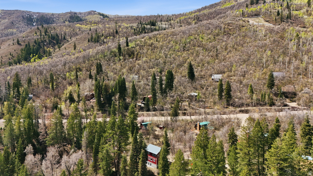 2450 W SNAKE RD Midway, UT 84049