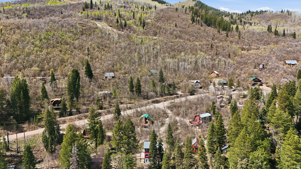 2450 W SNAKE RD Midway, UT 84049