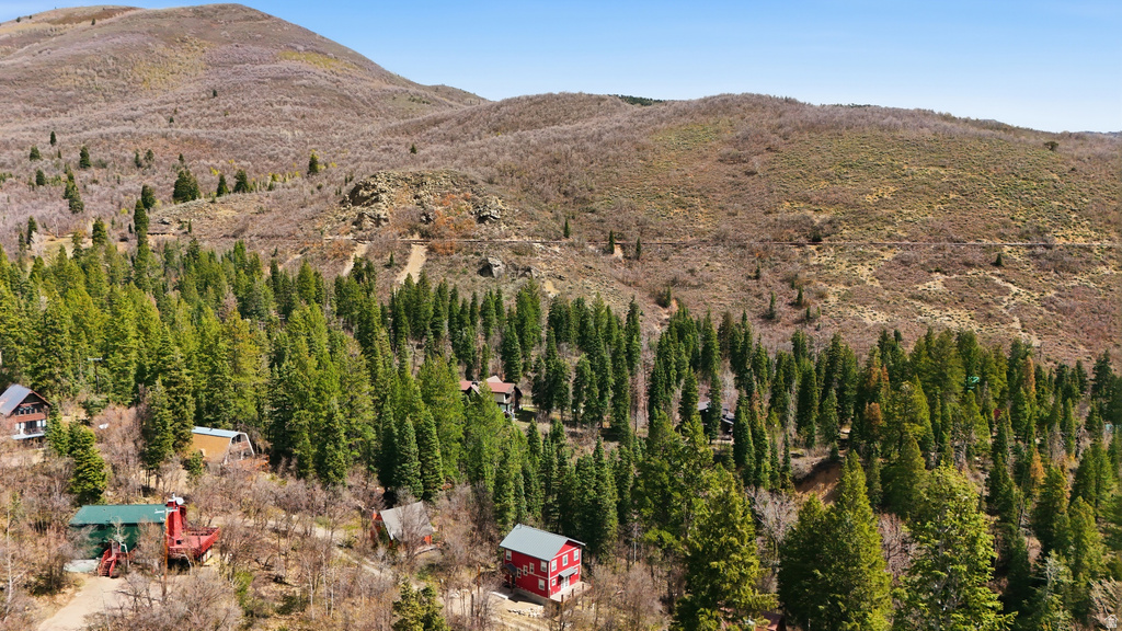 2450 W SNAKE RD Midway, UT 84049