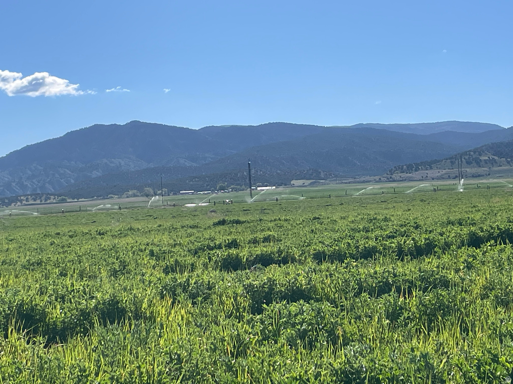 9888 S SR 28 Levan, UT 84639