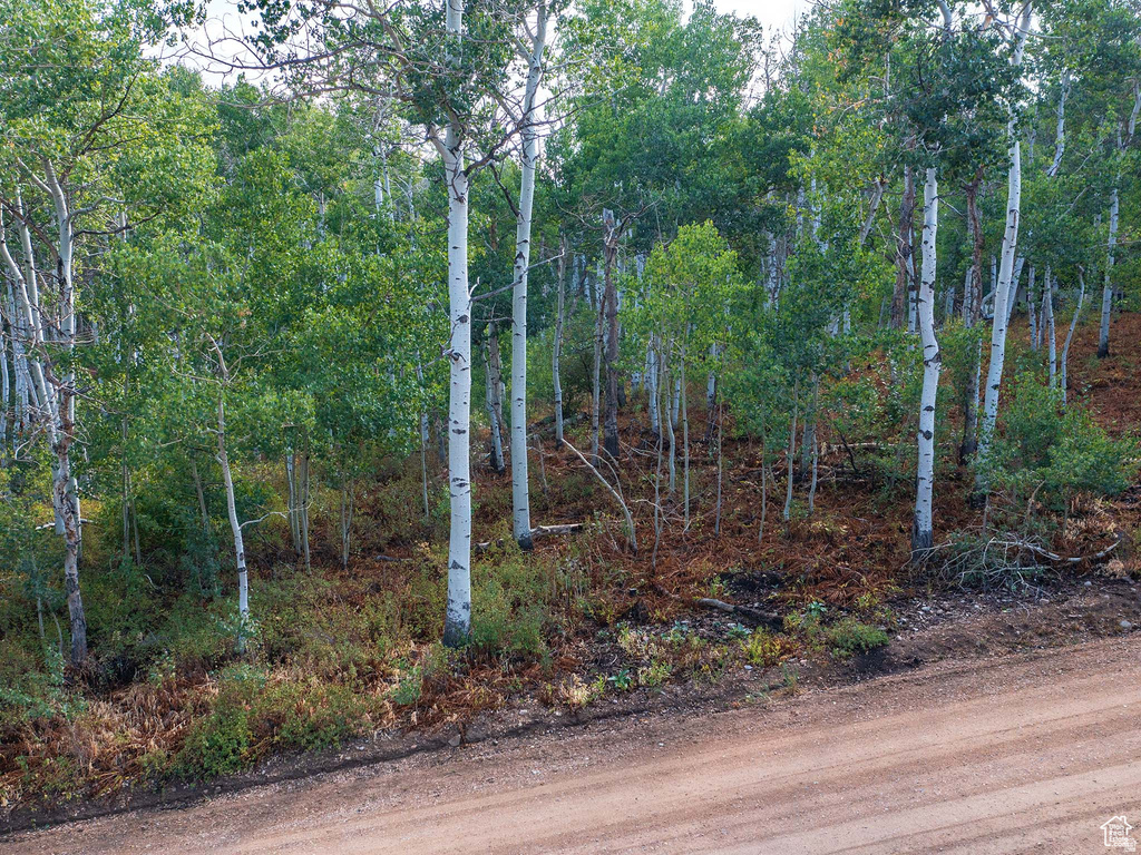 2919 S GREEN BRIAR WAY Heber City, UT 84032