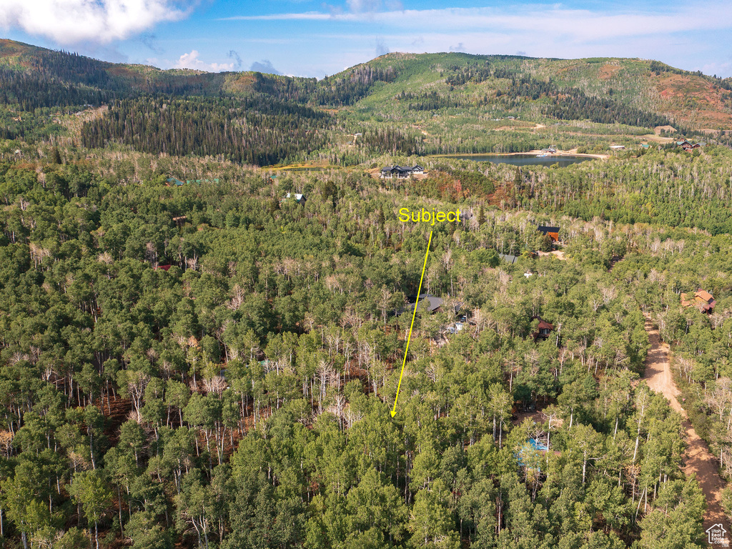 2919 S GREEN BRIAR WAY Heber City, UT 84032