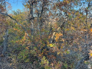 10 E SPRING MOUNTAIN DR Springville, UT 84663