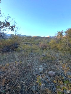 10 E SPRING MOUNTAIN DR Springville, UT 84663