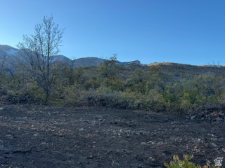 10 E SPRING MOUNTAIN DR Springville, UT 84663