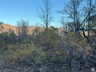 10 E SPRING MOUNTAIN DR Springville, UT 84663