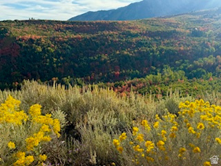 10 E SPRING MOUNTAIN DR Springville, UT 84663