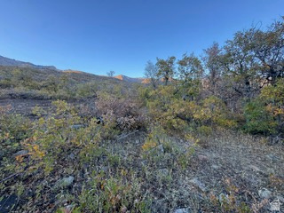 10 E SPRING MOUNTAIN DR Springville, UT 84663