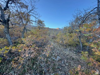 10 E SPRING MOUNTAIN DR Springville, UT 84663