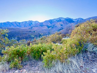 10 E SPRING MOUNTAIN DR Springville, UT 84663