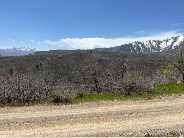 10 E SPRING MOUNTAIN DR Springville, UT 84663