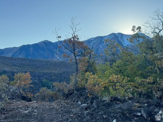 10 E SPRING MOUNTAIN DR Springville, UT 84663