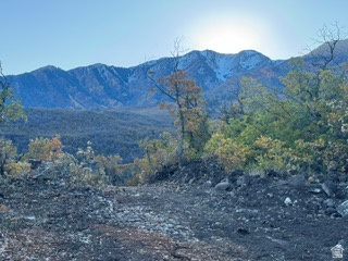 10 E SPRING MOUNTAIN DR Springville, UT 84663