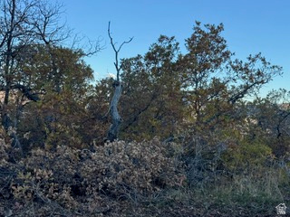 10 E SPRING MOUNTAIN DR Springville, UT 84663