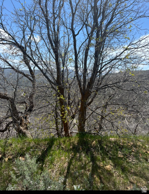 10 E SPRING MOUNTAIN DR Springville, UT 84663