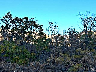 10 E SPRING MOUNTAIN DR Springville, UT 84663