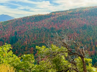 10 E SPRING MOUNTAIN DR Springville, UT 84663