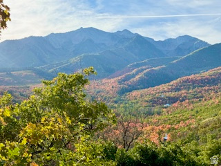 10 E SPRING MOUNTAIN DR Springville, UT 84663