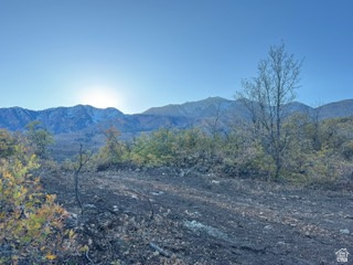 10 E SPRING MOUNTAIN DR Springville, UT 84663