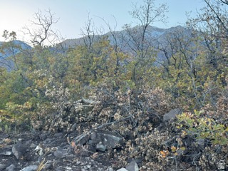 10 E SPRING MOUNTAIN DR Springville, UT 84663