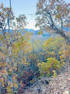 10 E SPRING MOUNTAIN DR Springville, UT 84663