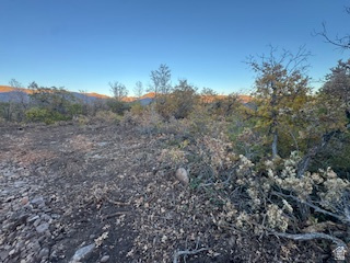 10 E SPRING MOUNTAIN DR Springville, UT 84663