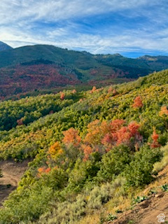 10 E SPRING MOUNTAIN DR Springville, UT 84663