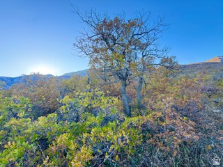 10 E SPRING MOUNTAIN DR Springville, UT 84663