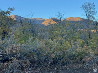 10 E SPRING MOUNTAIN DR Springville, UT 84663