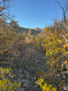 10 E SPRING MOUNTAIN DR Springville, UT 84663