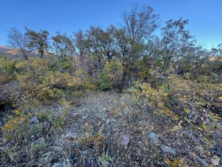 10 E SPRING MOUNTAIN DR Springville, UT 84663