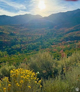 10 E SPRING MOUNTAIN DR Springville, UT 84663