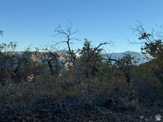 10 E SPRING MOUNTAIN DR Springville, UT 84663