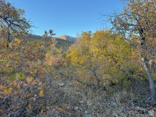 10 E SPRING MOUNTAIN DR Springville, UT 84663