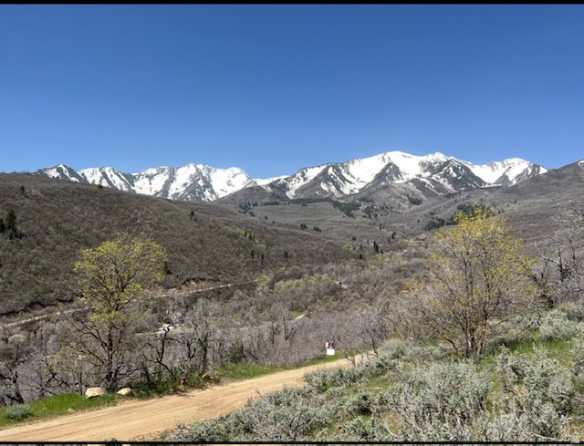 10 E SPRING MOUNTAIN DR Springville, UT 84663