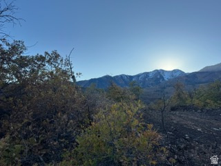 10 E SPRING MOUNTAIN DR Springville, UT 84663