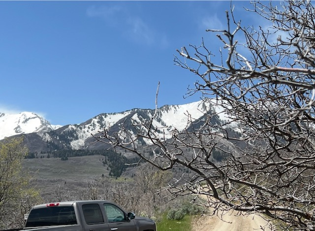 10 E SPRING MOUNTAIN DR Springville, UT 84663