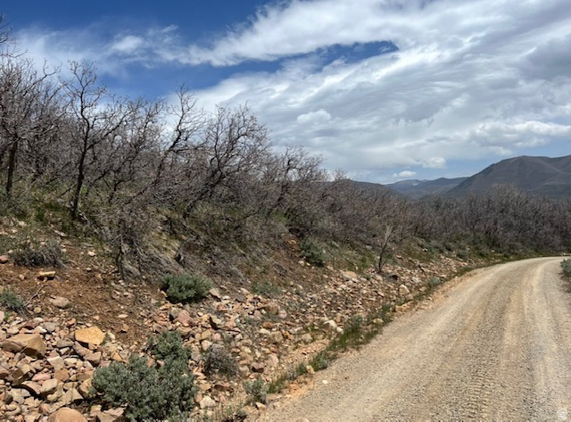 10 E SPRING MOUNTAIN DR Springville, UT 84663