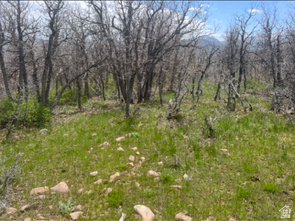 10 E SPRING MOUNTAIN DR Springville, UT 84663