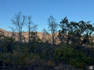 10 E SPRING MOUNTAIN DR Springville, UT 84663