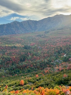 10 E SPRING MOUNTAIN DR Springville, UT 84663