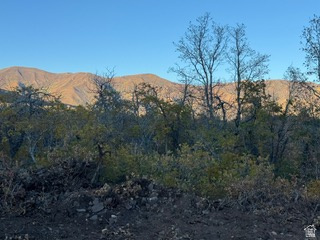 10 E SPRING MOUNTAIN DR Springville, UT 84663