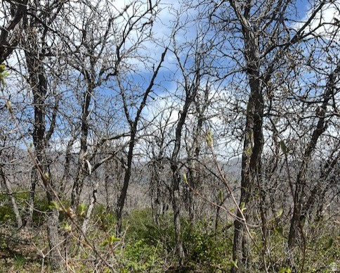 10 E SPRING MOUNTAIN DR Springville, UT 84663