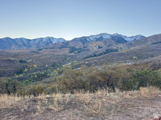 10 E SPRING MOUNTAIN DR Springville, UT 84663