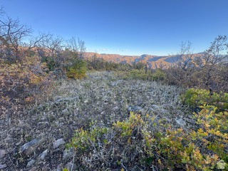 10 E SPRING MOUNTAIN DR Springville, UT 84663