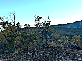 10 E SPRING MOUNTAIN DR Springville, UT 84663