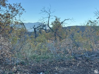 10 E SPRING MOUNTAIN DR Springville, UT 84663